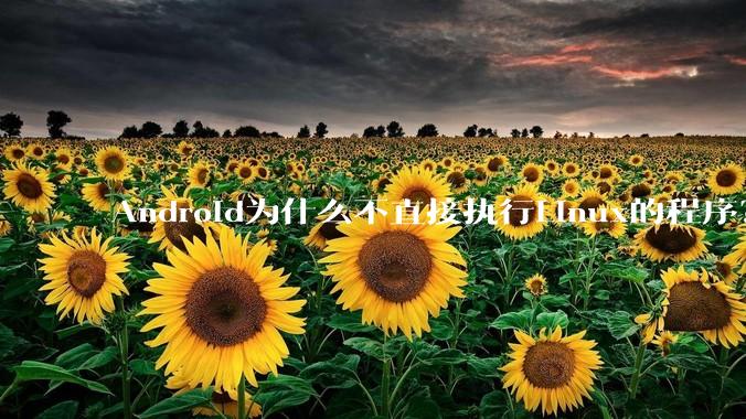 Android为什么不直接执行Linux的程序？而是自己搞一套？
